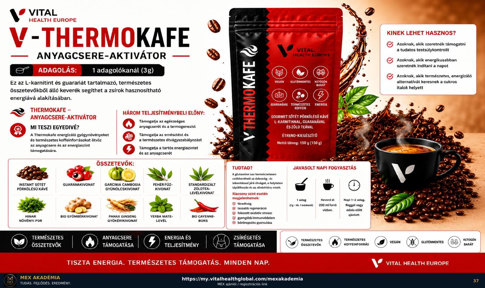 V-Thermokafe